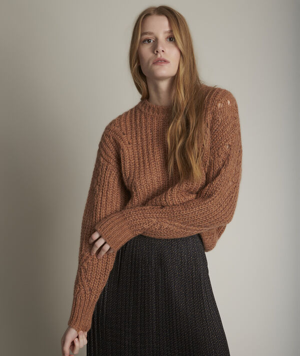 Dancing brown jumper | 1-2-3 Dancing brown jumper PhotoZ | 1-2-3