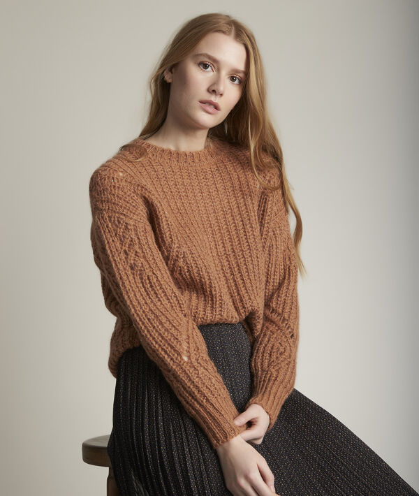 Dancing brown jumper | 1-2-3 Dancing brown jumper PhotoZ | 1-2-3