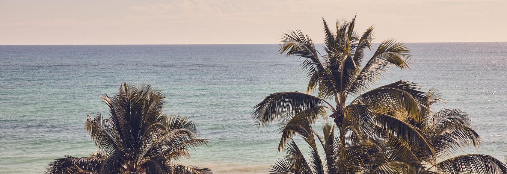 C’EST GRATUIT ET SANS ENGAGEMENT